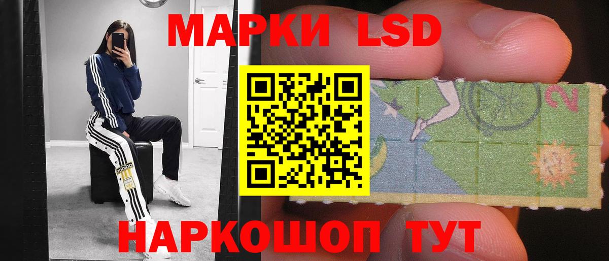 ЛСД экстази кислота  Вход с VPN  Новозыбков  LSD-25 экстази кислота 