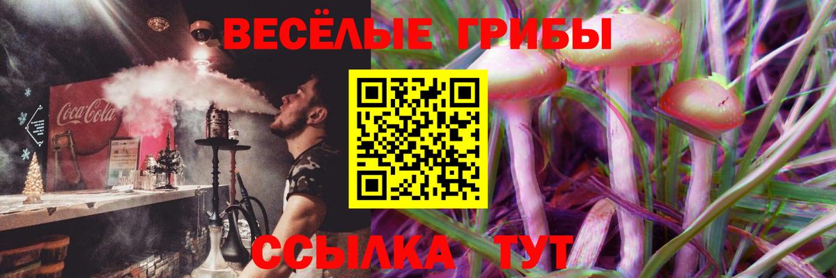 Галлюциногенные грибы прущие грибы Новозыбков