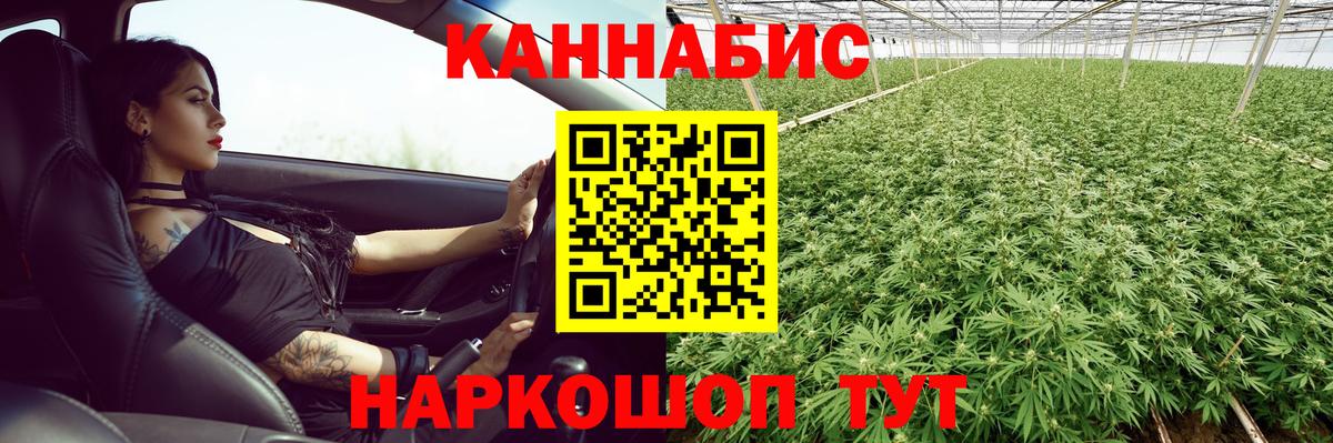 Канабис THC 21%  Бошки Шишки White Widow  Новозыбков  МАРИХУАНА AK-47  Вход с VPN 
